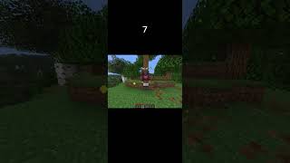 Minecraft PvP Damage Test ⚔️