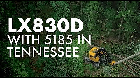Tigercat LX830D with 5195 felling head - Trevor Haywood Timer Co. - Tennessee