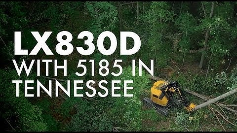 Tigercat LX830D with 5195 felling head - Trevor Haywood Timer Co. - Tennessee