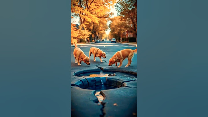 Animal Warning Signals to Humans | How This Quick Thinking Prevents School Bus Tragedy