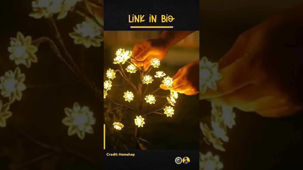 Transform Your Garden with Homehop Solar Lights 🌟 | Waterproof Decorative Flower Lamp for Outdoors