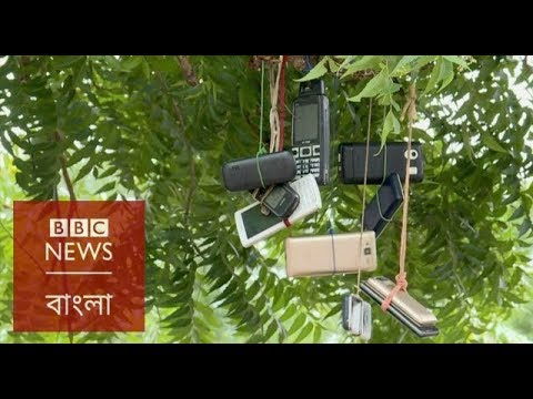 ভিডিও: কিভাবে একটি নেটওয়ার্ক কীট অপসারণ