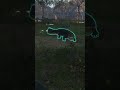 Mi primer encuentro con un cocodrilo no fue lo que esperaba
