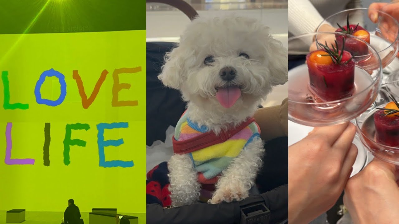 VLOG| 2024년 1월 일상, 데이비드 호크니, 마니또 모임, 광화문 벌새☕️, 집들이, 연희동 룩백☕️, 목공 클래스