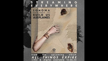 Build Us Airplanes - "Sinking" Sell the Heart Records - Official Music Video