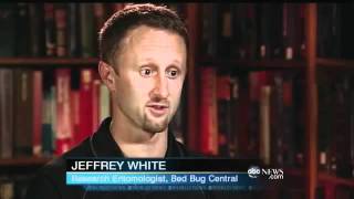 Treating America's Bed Bug Problem