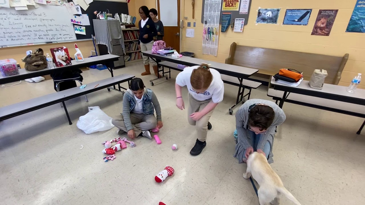 Training Zinnia With My My Bishop Maginn Student Volunteers