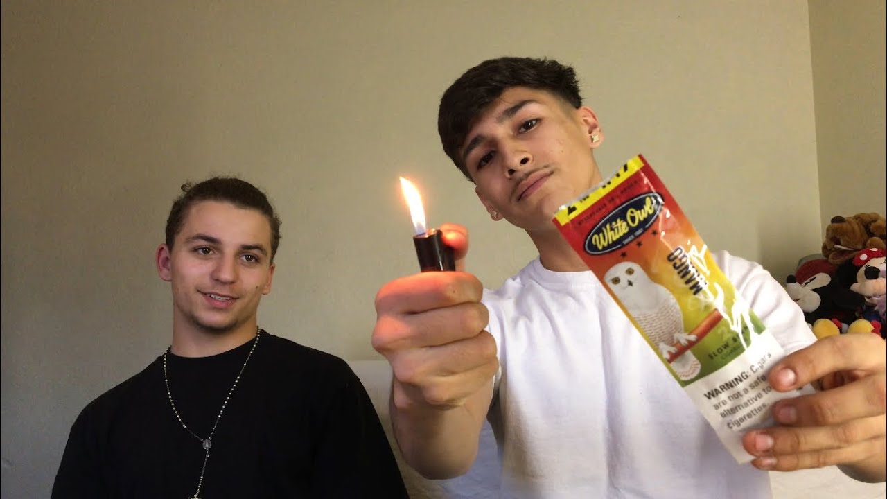 WHITE OWL HOTBOX REVIEW & JUSTIN