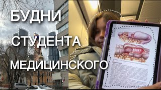 : Vlog#18/    ,    /