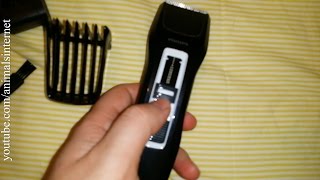 Philips 3000 series hc3410 hair and beard clipper/trimmer machine. Unboxing. How to use & clean. 4K