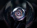 Black Hole Cosmos