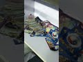 My favourite pokamon