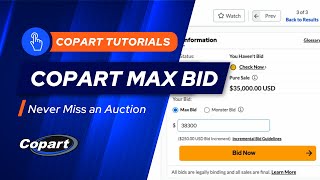 Famous Buy Vehicles Now and Skip the Copart Auction Profile
