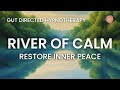 Find relief river of calm stress relief hypnotherapy for ibs