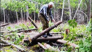 Laying a Corduroy Trail -Martin's Old Off Grid Log Caiin#344