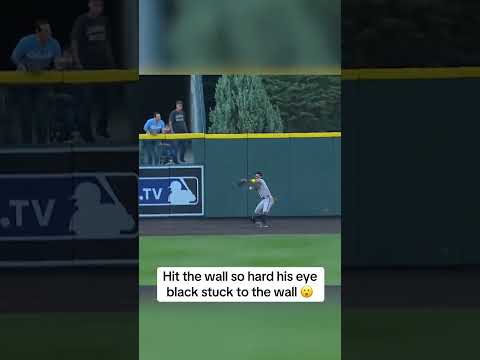 Mauricio Dubon made one of the best catches in MLB this season 👀