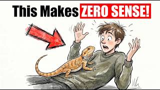 Detailed 5 Signs Your Bearded Dragon Is Basically a Golden Retriever | Hilarious Profile