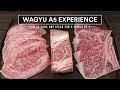 How to cook the WORLD'S BEST BEEF - Japanese WAGYU A5 Steak Experience!