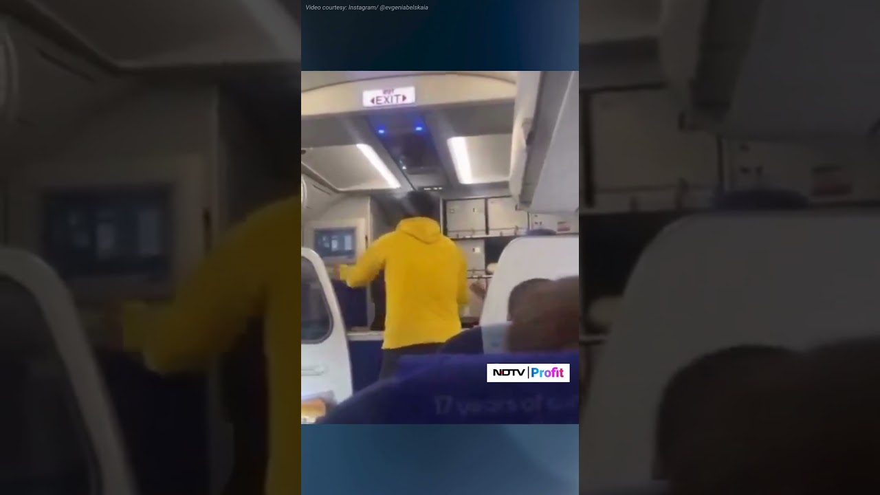 Passenger Hits IndiGo Pilot Over Flight Delay | Indigo Pilot Slapped Video #shorts #viral
