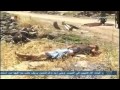 Syria News 29/7/2014, UNSC adopts resolution prohibiting buying oil from terrorists in Syria-Iraq
