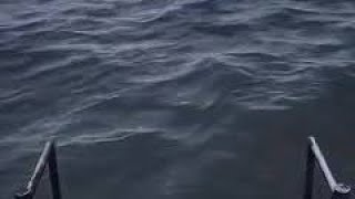 Ocean Memestop 10 Sea Memestry To Not Laugh Memesfunny Memes Of 2024