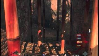 Neoshadow: Blackops Zombies