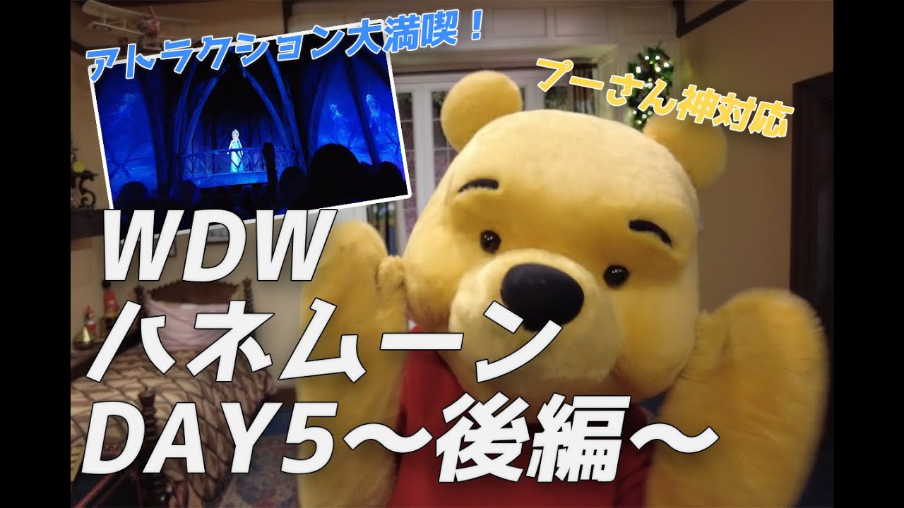 【WDWハネムーンDAY5後編】エプコット満喫！プーさんグリ＆ソアリン・アナ雪｜海外ディズニーVLOG