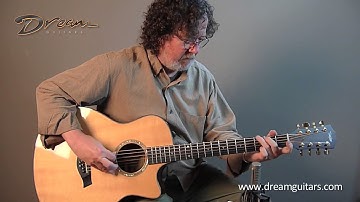 2010 Taylor Guitars Baritone 8-String Indian/Sitka