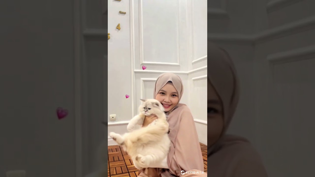 #dance #funny #cat #cute #cutebaby #cartoon #catcute This is my favorite cat.