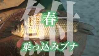 ［見て納得! フナ釣りタナゴ釣り入門］DVDトレーラー