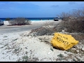 Bonaire Diving: Day & Night