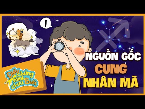 BẬT MÍ NGUỒN GỐC CUNG NHÂN MÃ | Điều Chúng Mình Chưa Biết | Hi Pencil Studio
