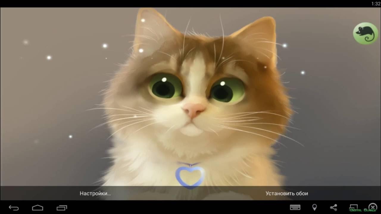 Tummy The Kitten┇Живые Обои Live Wallpaper (Android) - YouTube