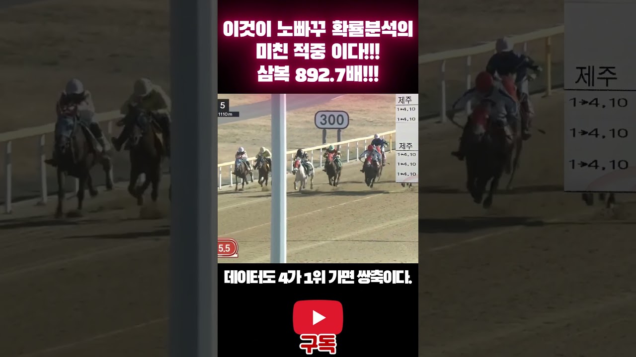 삼복 892.7배 노빠꾸 확률분석의 미친적중은 계속된다! | 260213 제주5경주 | #제주경마  #제주경마예상 #제주경마적중  #제주경마결과   #고배당 #경마재택크 #경마