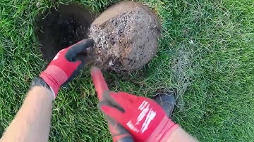 The Minelab Vanquish 440 strikes gold again!