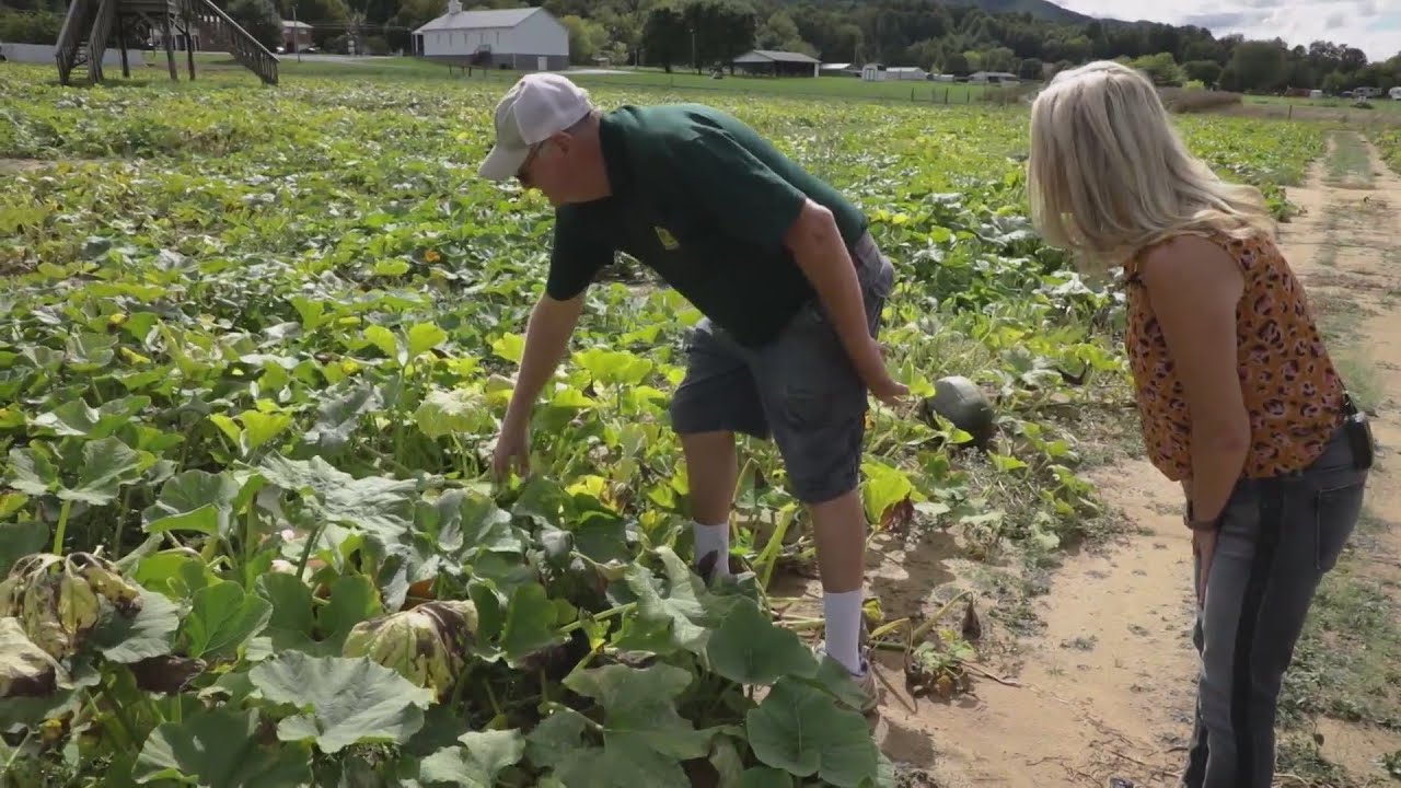 Fields & Farms Fender's Farm YouTube