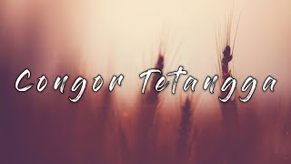 Congor Tetangga - Blackpink - 뚜두뚜두  (DDU-DU-DDU-DU) |  by  SMVLL reggae Cover || Lirik 🎶