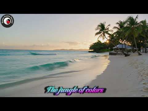 Mariano Verga - The jungle of colors [Brazilian Lounge Jazz, Bossa Nova, Café]
