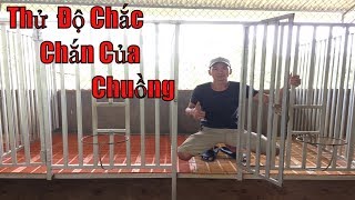 Cách Làm Chuồng Nuôi Chó Becgie Đức Đẹp || Trại Chó Công Phan