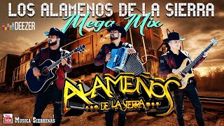 Los Alameños De La Sierra MEGA MIX Lo Más Chingon 🤠 Cumbias y Huapangos Para Bailar