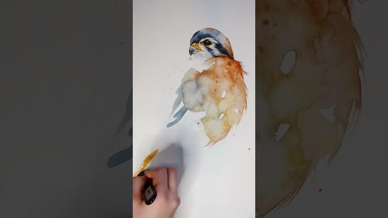 painting a kestrel with watercolors