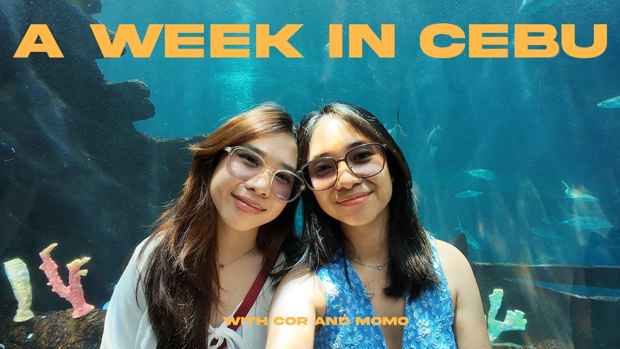 Мы отправились в Себу! 𓆉 ⋆.˚ 𓆝⋆.˚ Тур по южному Себу и самостоятельная экскурсия по городу Себу |...