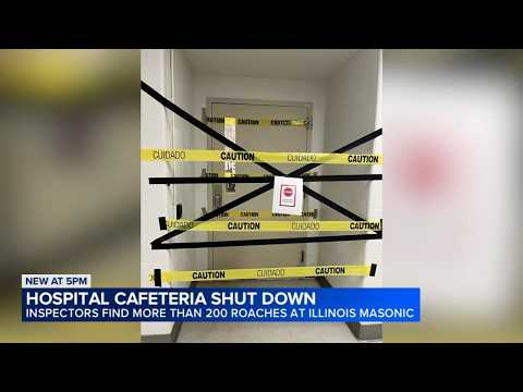 Cockroach infestation leads to suspension of Chicago hospital cafeteria license
