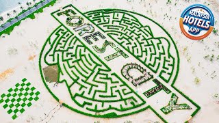 Xtu seaview 1room at Forest City | Johor Bahru, Malaysia | Hotel Review ⭐