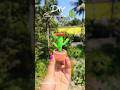 DIY clay cactus 🌵#diy #craft #handmade #artandcraft #diycrafts #clayvideos #claycraft #craftideas