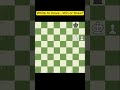 Win or Draw? #viralChess#chessforbeginners#chessEndgames#howtoplaychess#boostELO