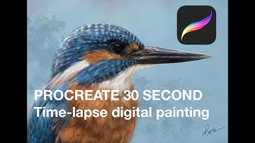 PROCREATE- Time-lapse video of digital wildlife painting process- A Kingfisher bird - Ed Cabral
