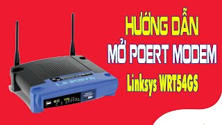 How to Port Forward a Linksys WRT54GS Modem for Remote Camera Viewing | Learn Computer Repair screenshot 4
