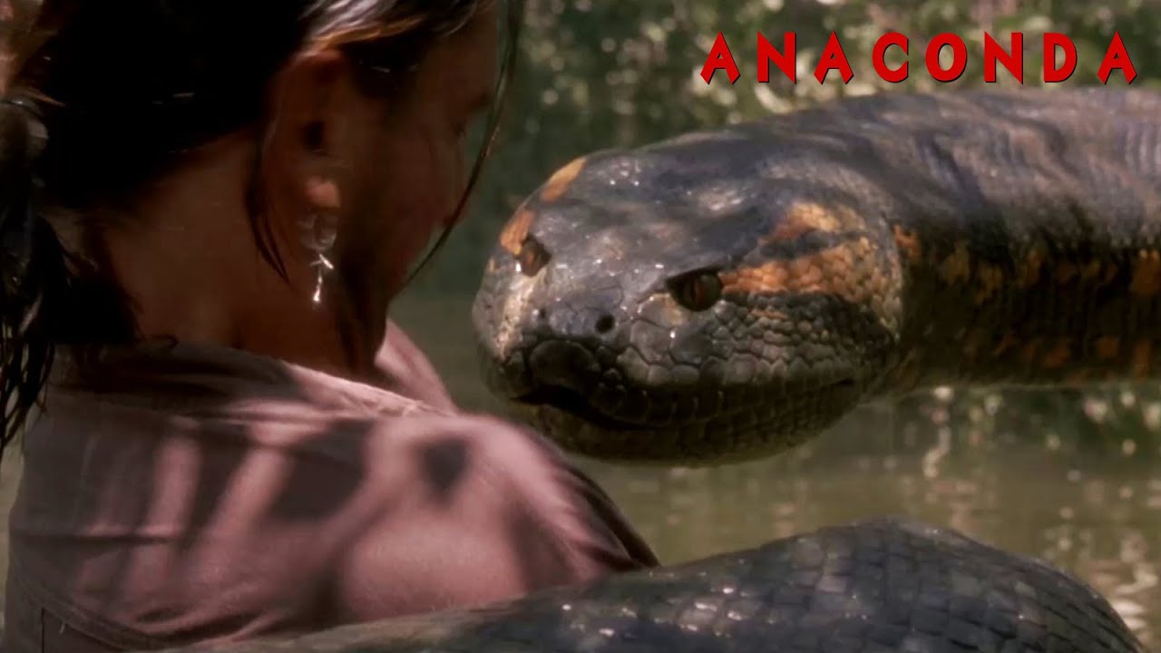 Девочка анаконда песня. Anaconda 1997 Ken.