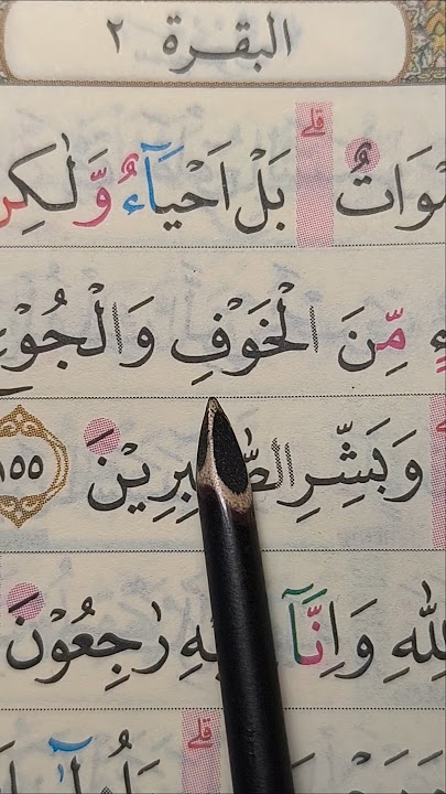 Lanjut QS Al-Baqarah ayat 154-158 #allah
